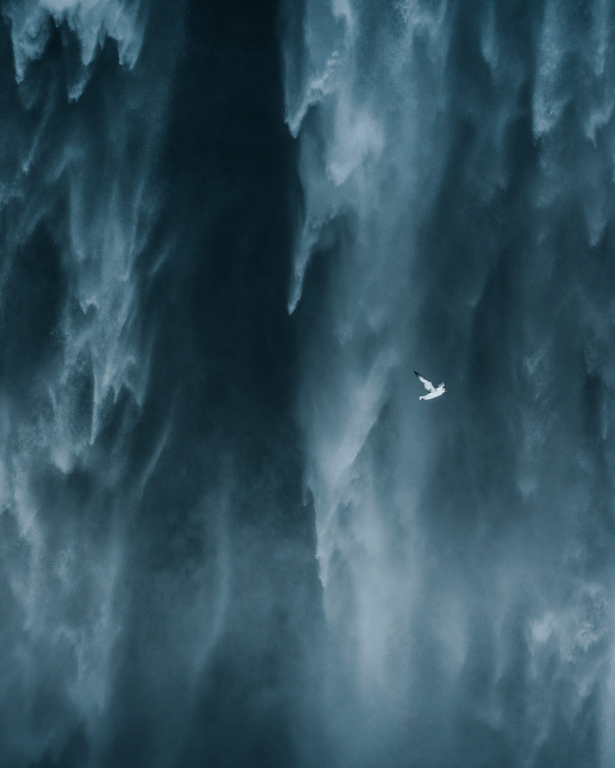 Bird in front of a waterfall